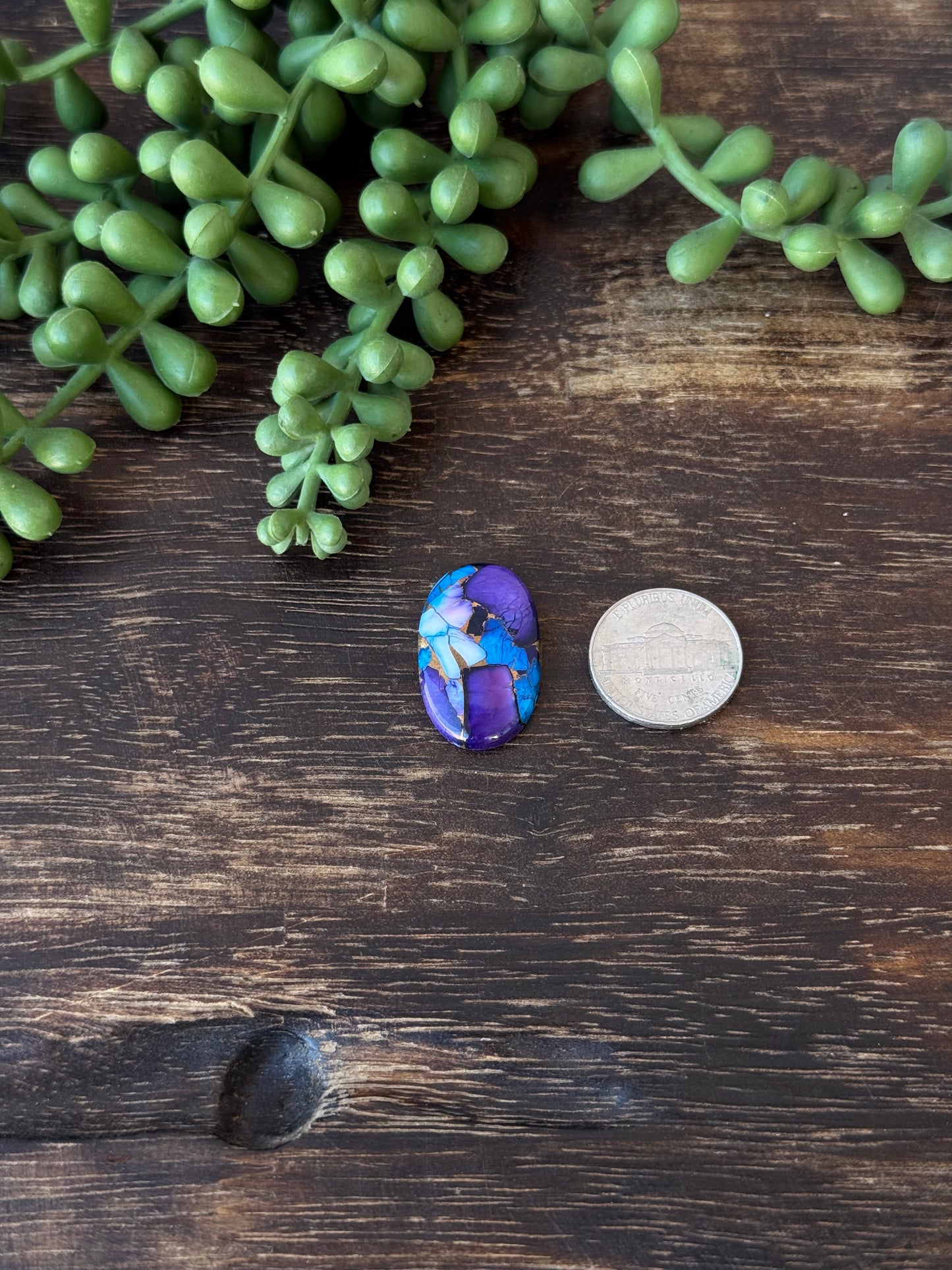 Purple Dahlia Composite Cabs