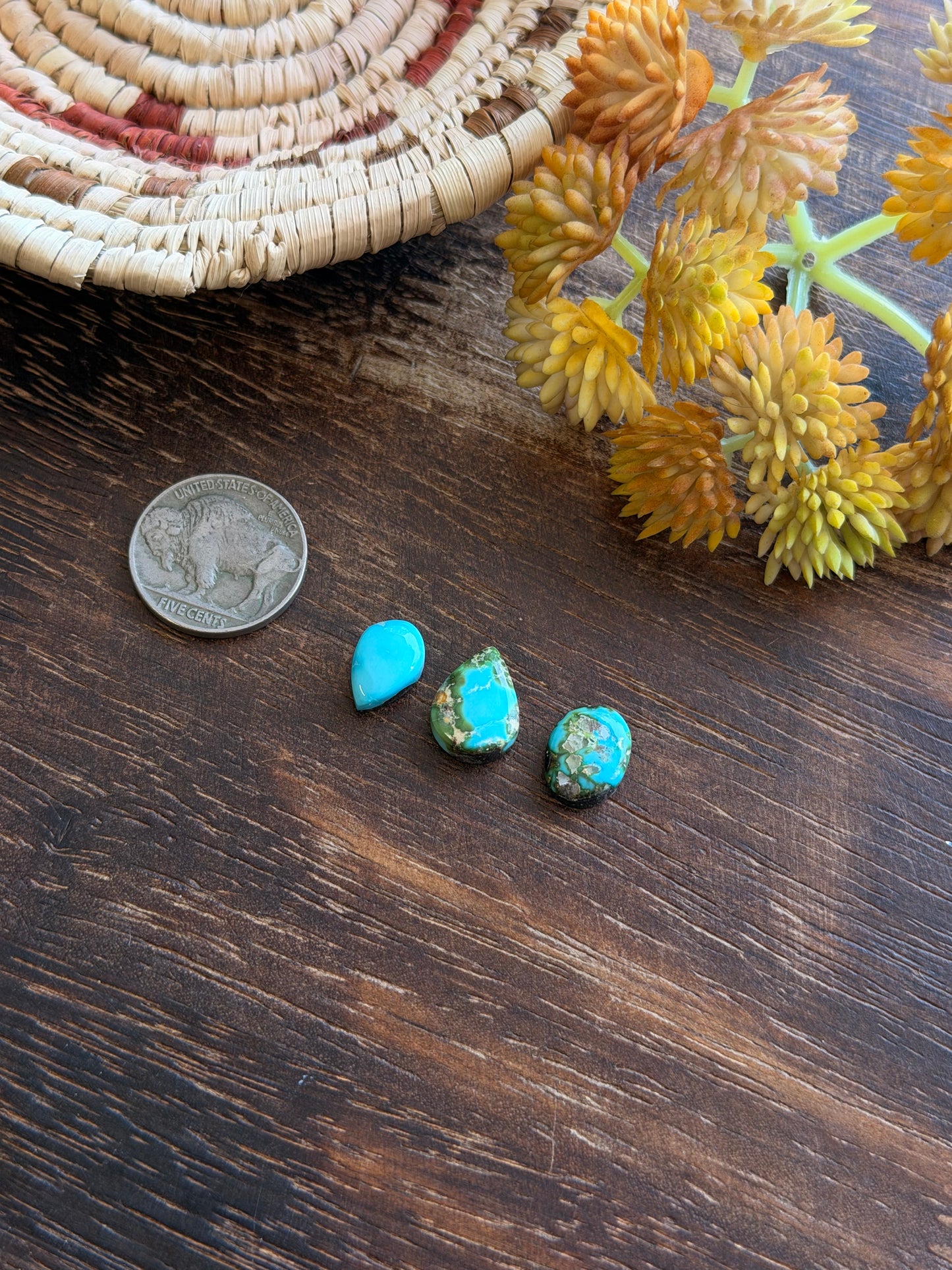 Sonoran Mountain Turquoise Cabs