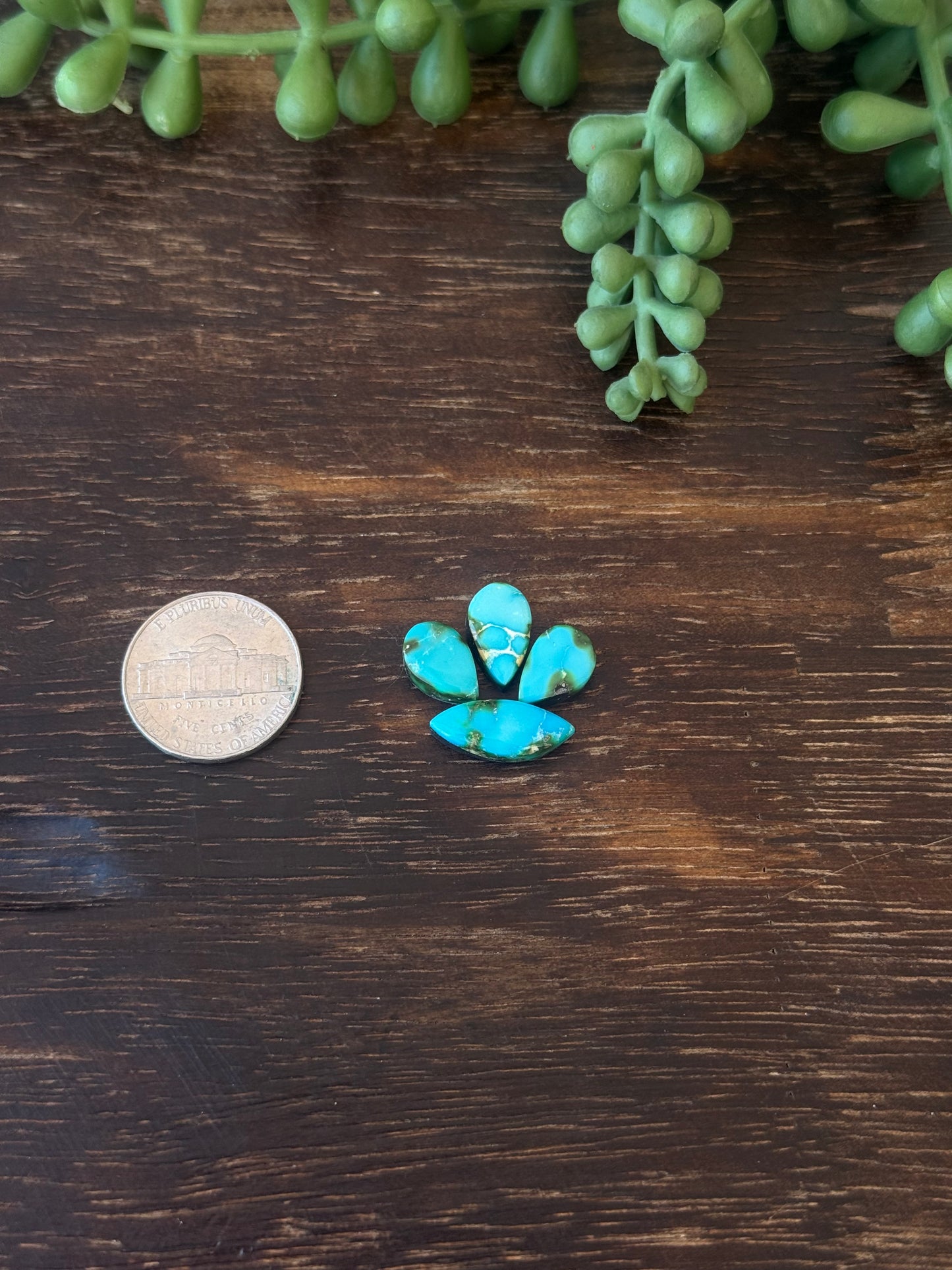 Sonoran Mountain Turquoise Cabs