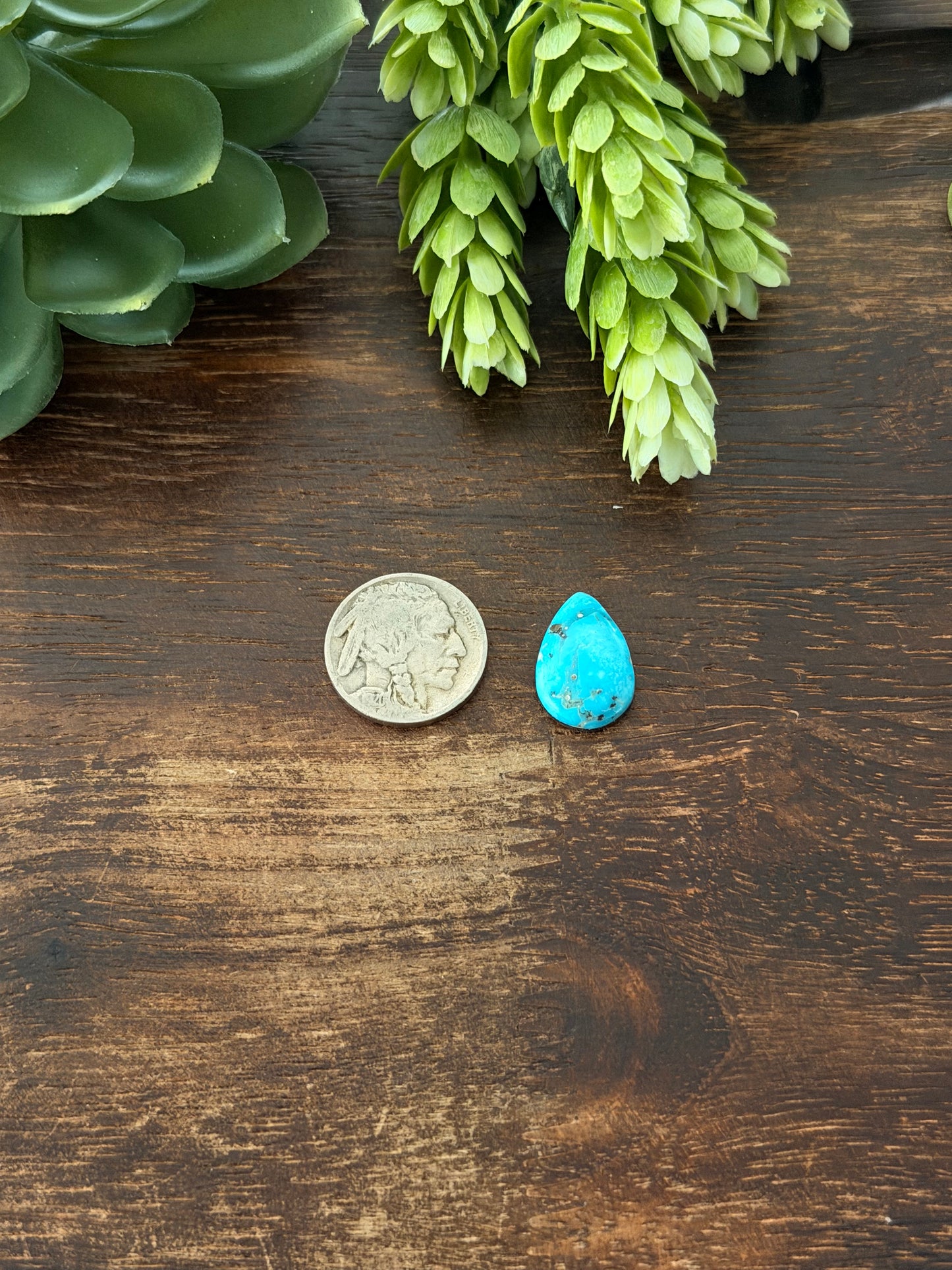 Blue Bird Turquoise Cab