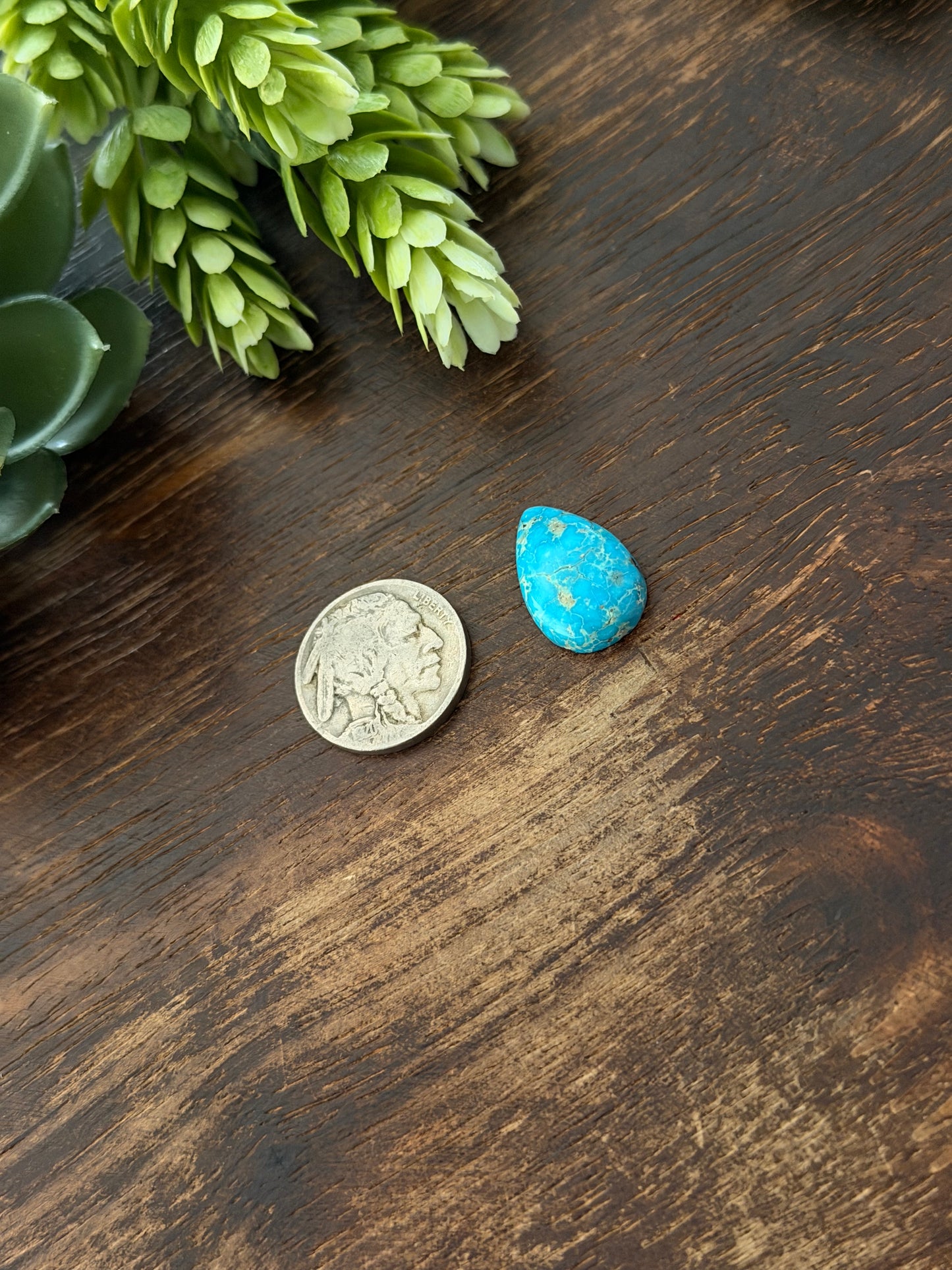 Blue Bird Turquoise Cab