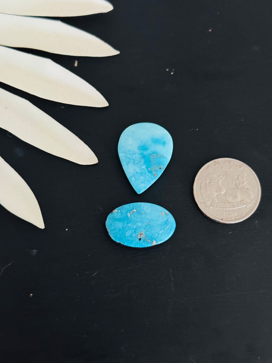 Blue Bird Turquoise Cabs