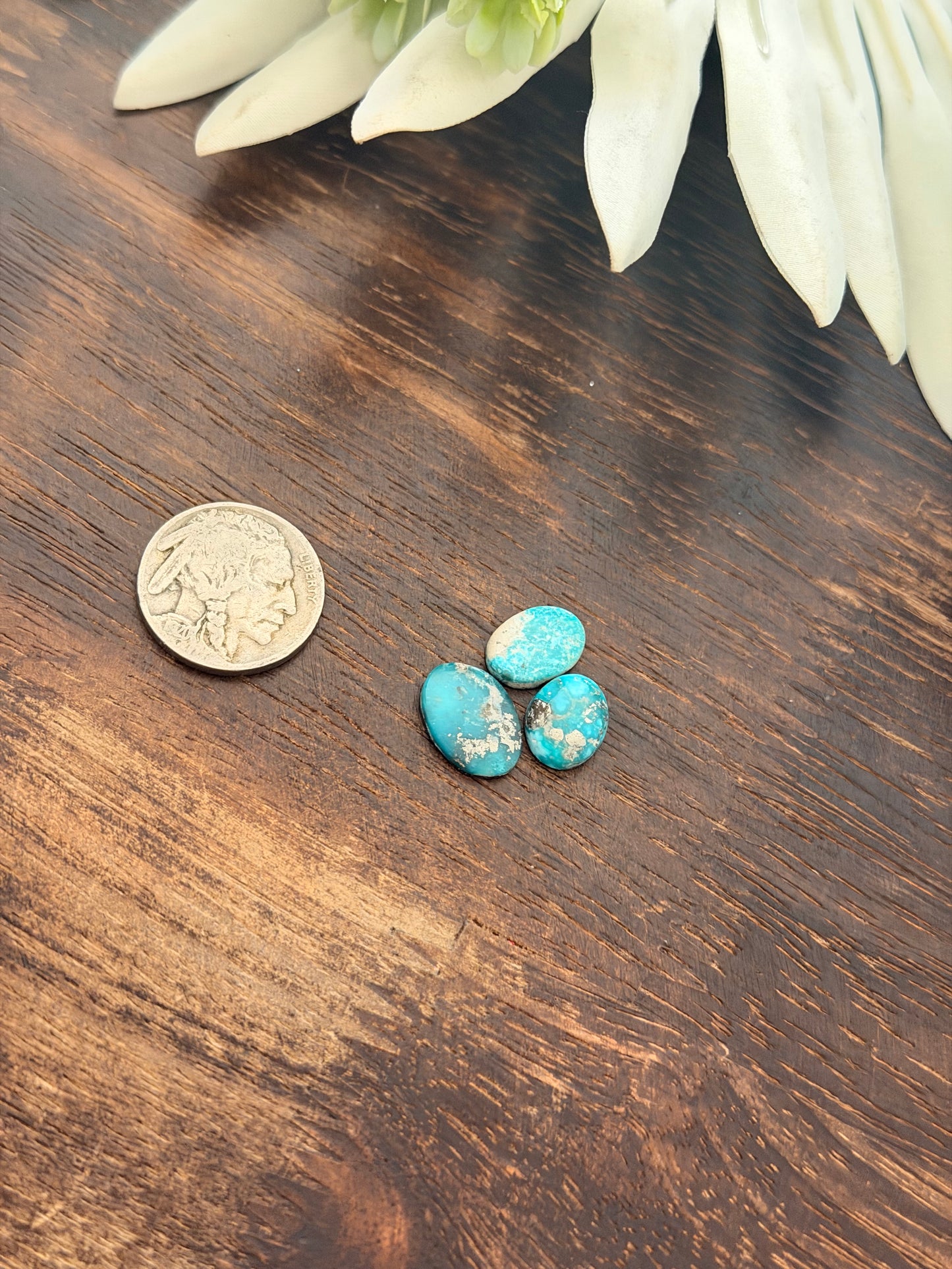 White Water Turquoise Cabs
