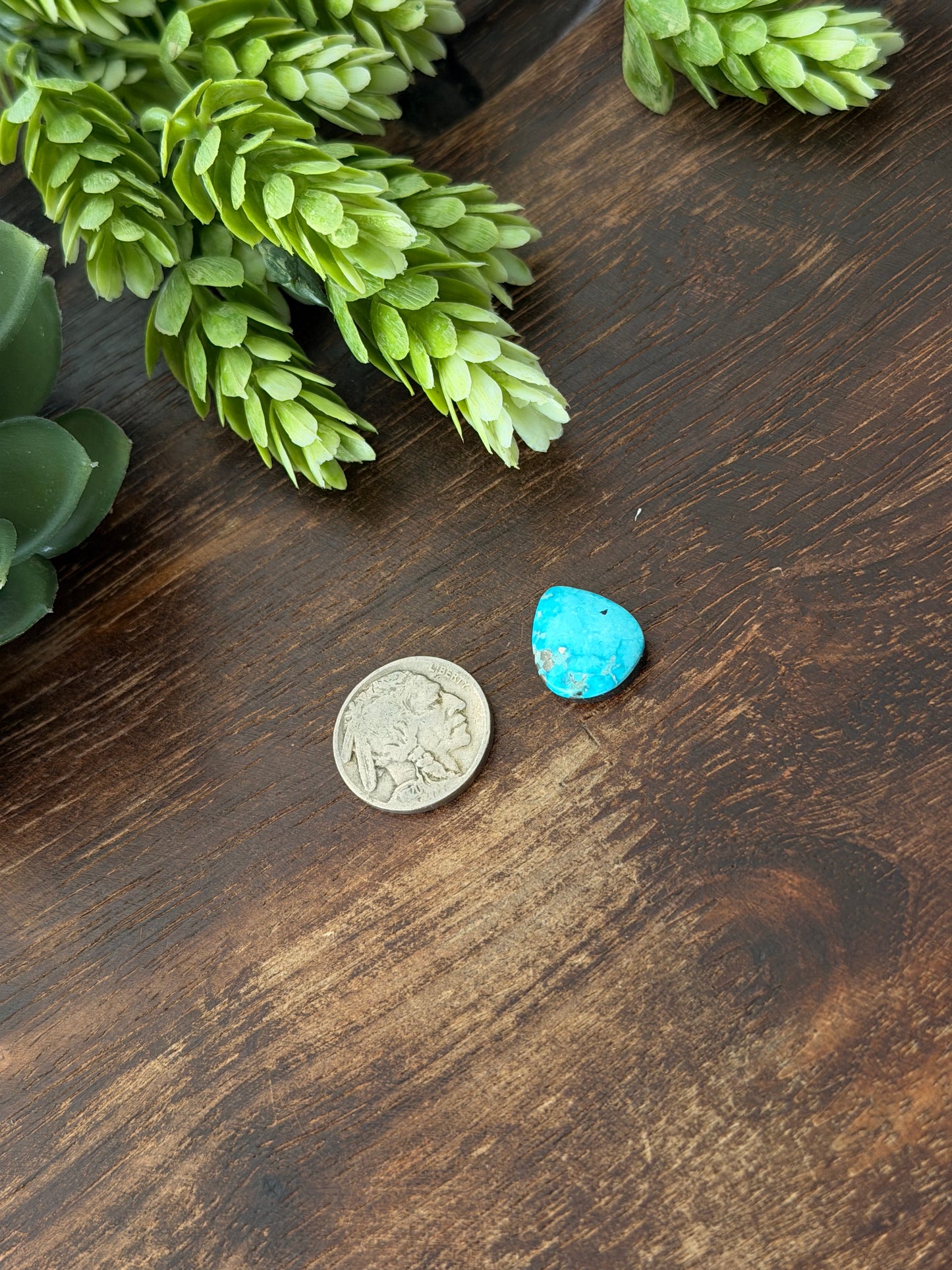 Blue Bird Turquoise Cab