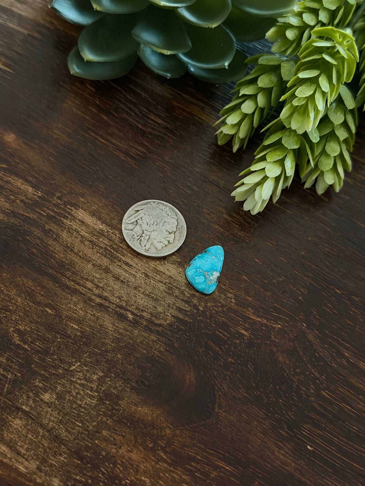 Blue Bird Turquoise Cab