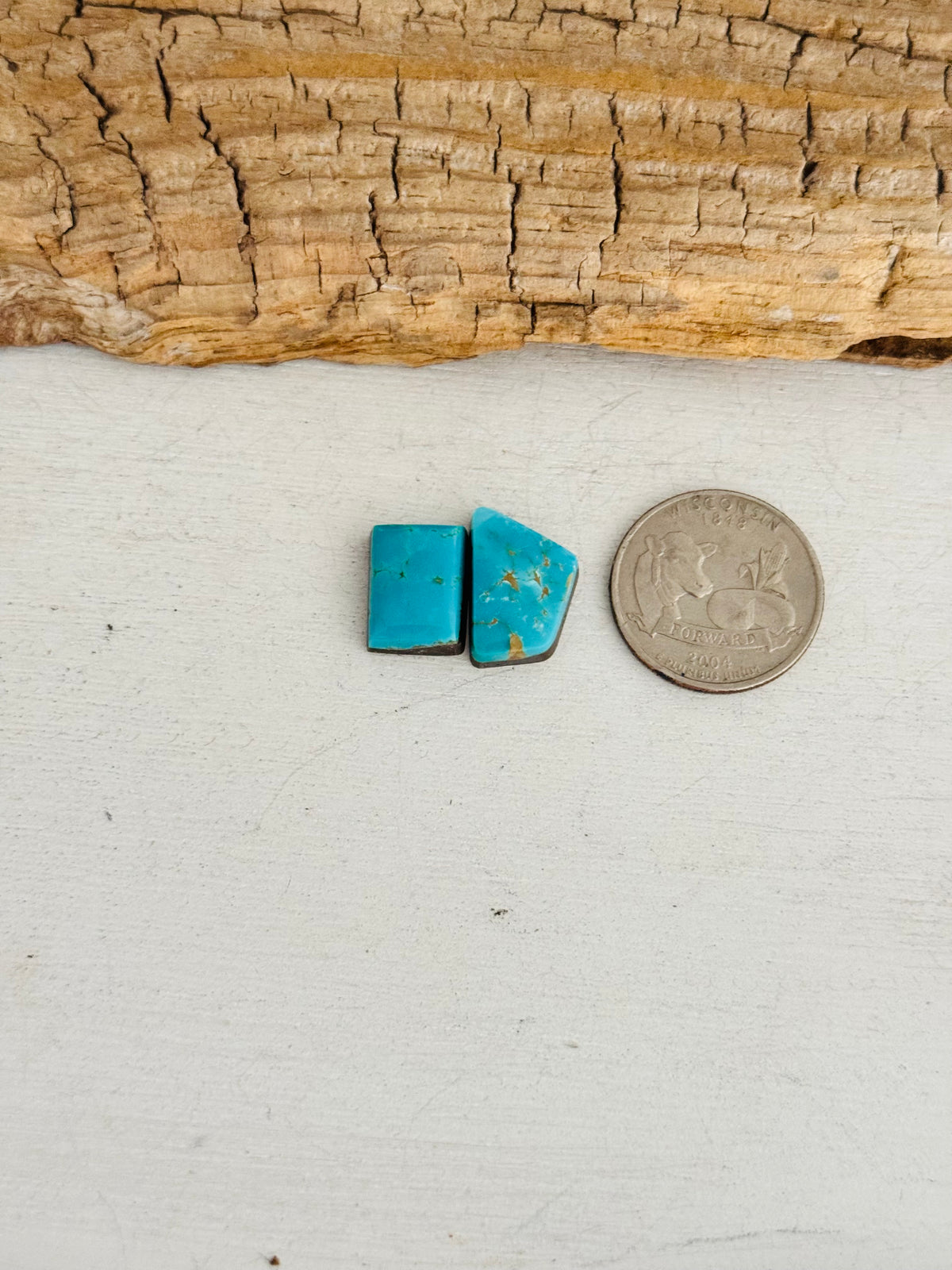 Natural Kings Manassa Turquoise Cabs