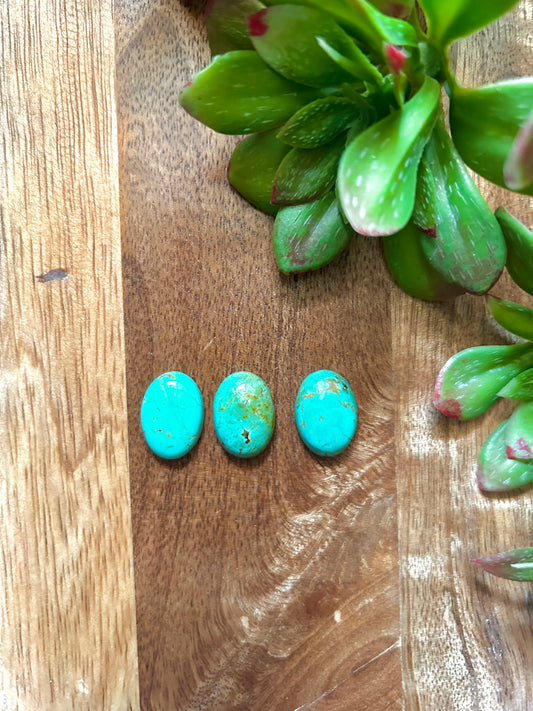 Kingman Turquoise Cabs