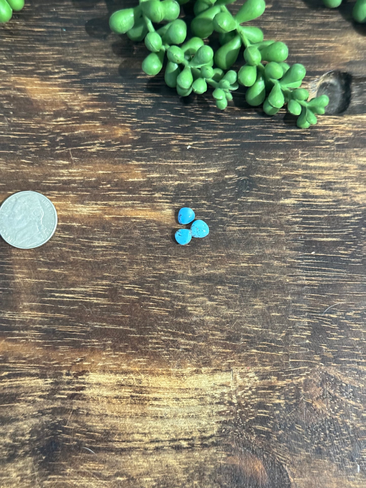 Golden Hills Turquoise Cabs