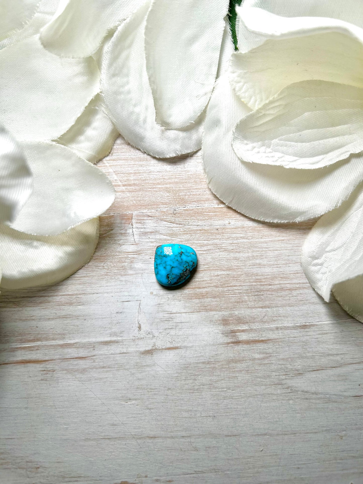 Blue Ridge Turquoise Cab