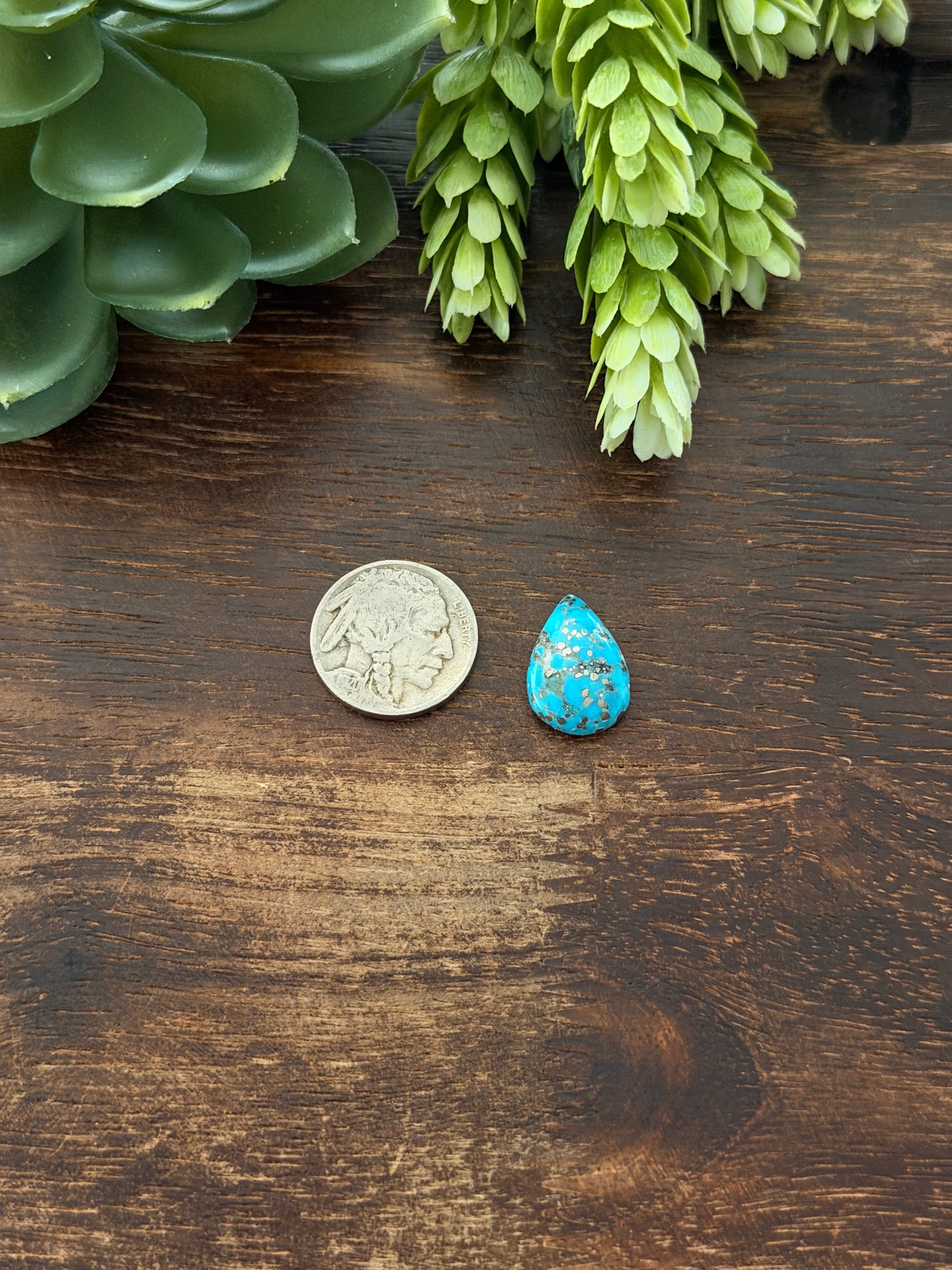 Blue Bird Turquoise Cab