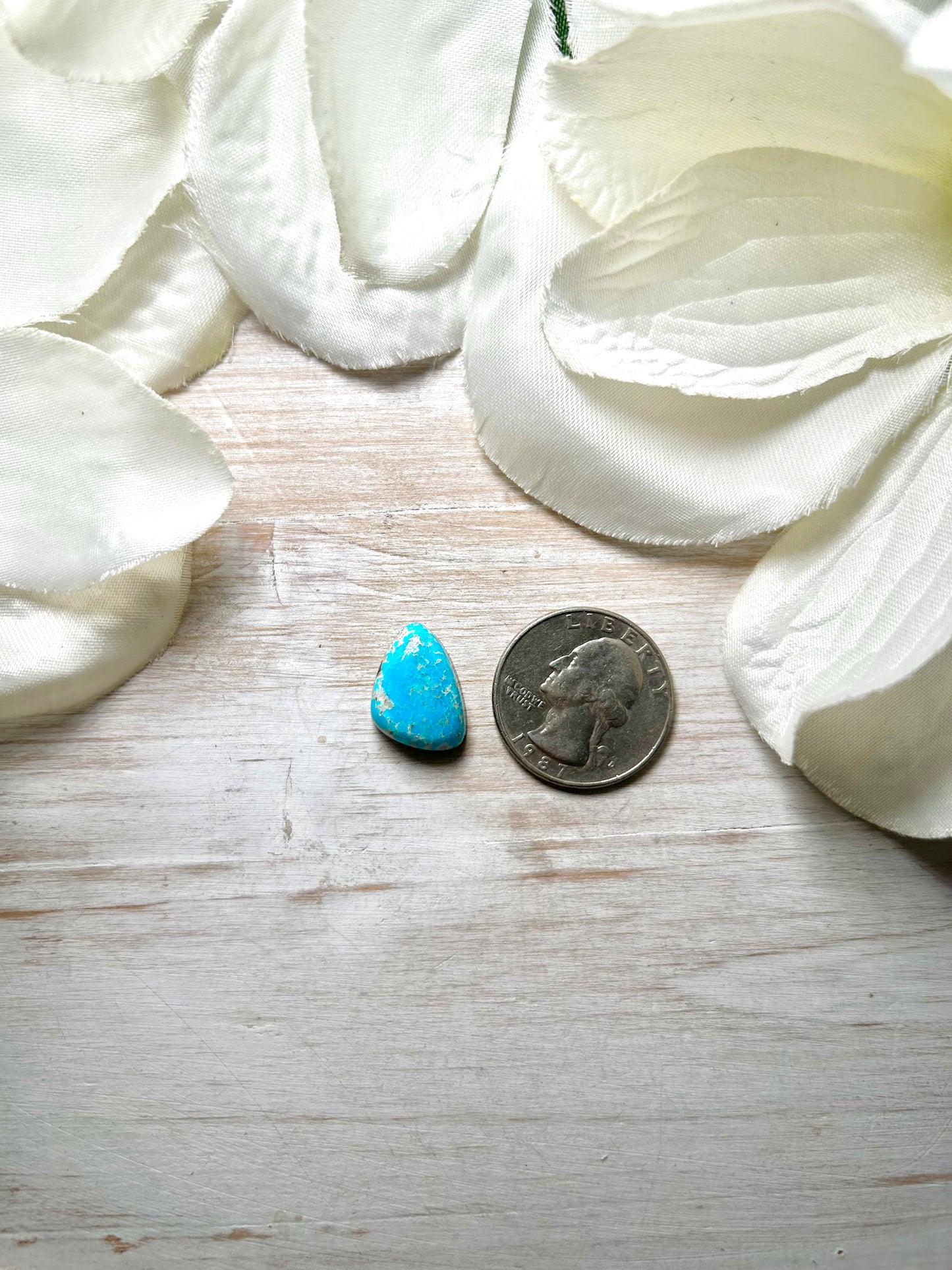 Blue Ridge Turquoise Cab