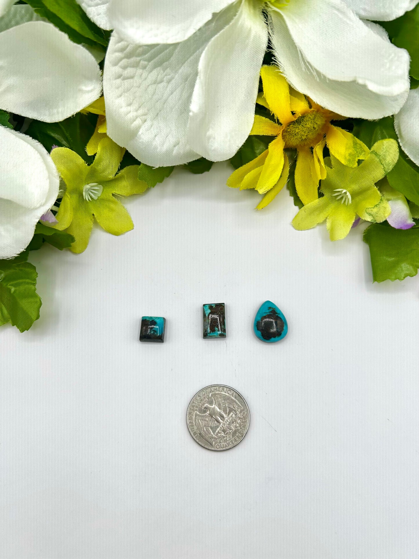 Black Jack Turquoise Natural