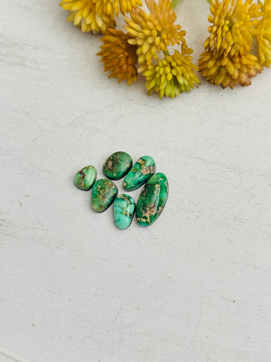 Natural Sonoran Gold Turquoise Cabs