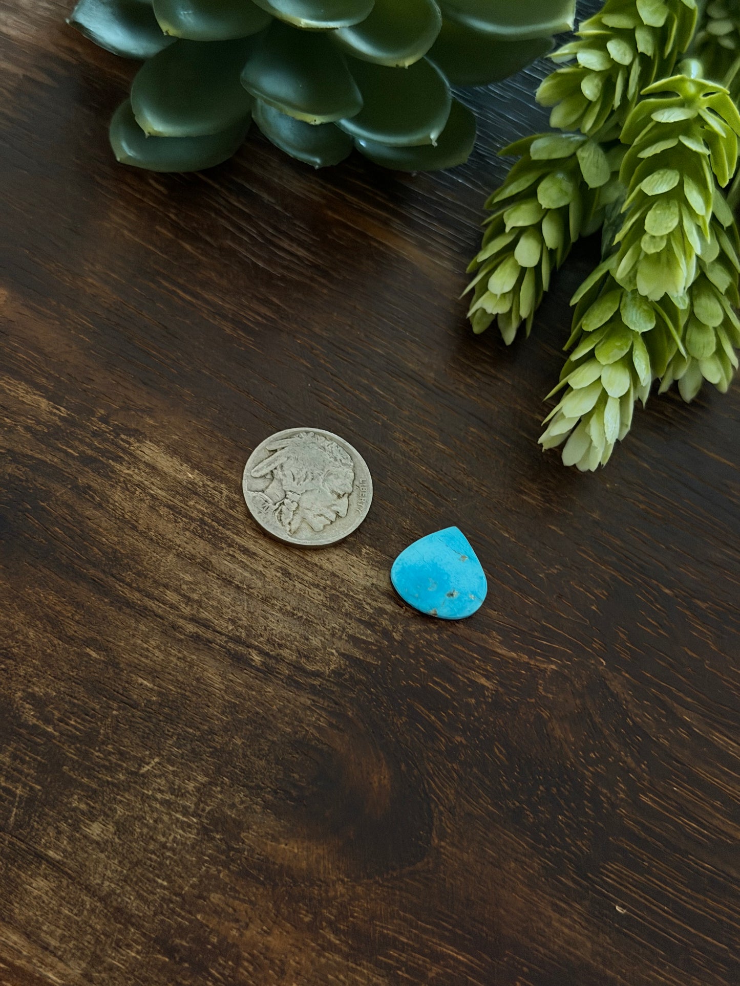 Blue Bird Turquoise Cab