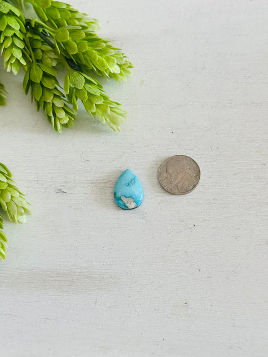 Blue Bird Turquoise Cab