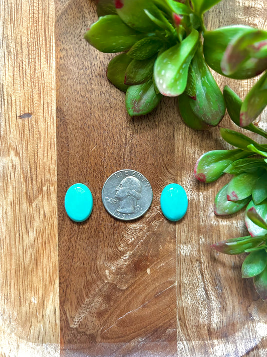 Kingman Turquoise Cabs