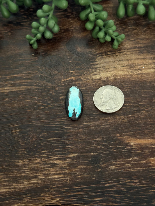 Black Jack Turquoise Cab