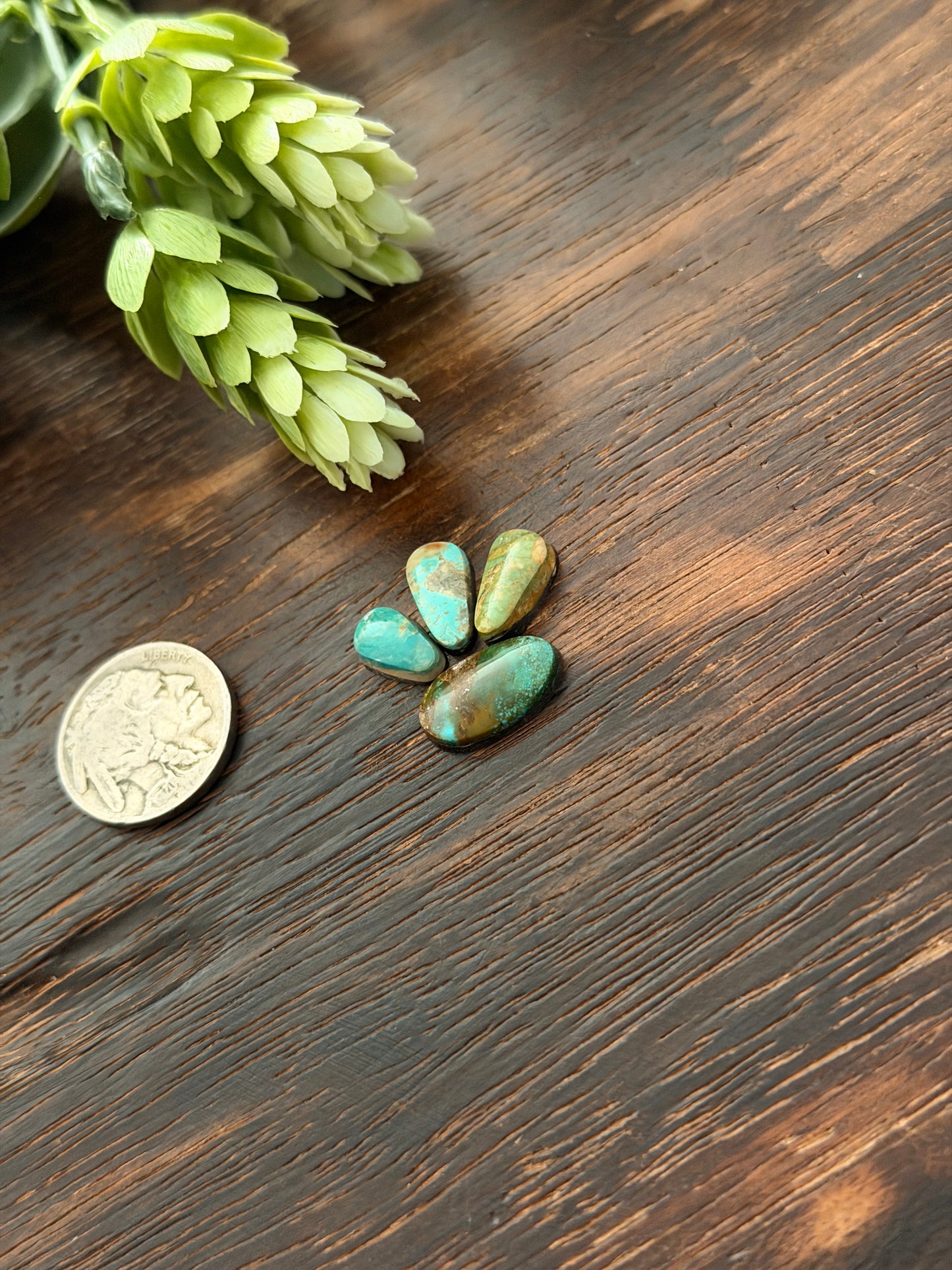 Evans Turquoise Cabs