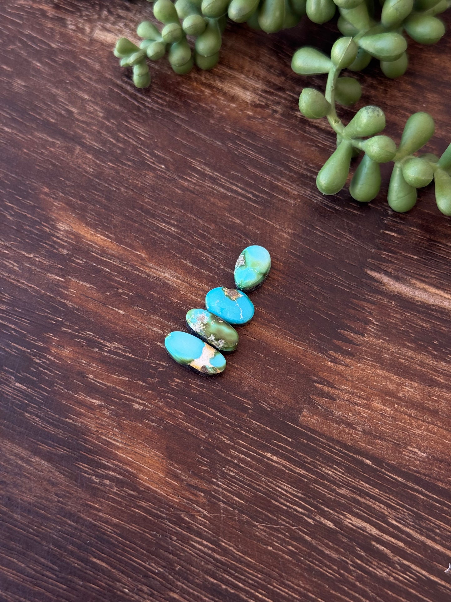 Sonoran Mountain Turquoise Cabs