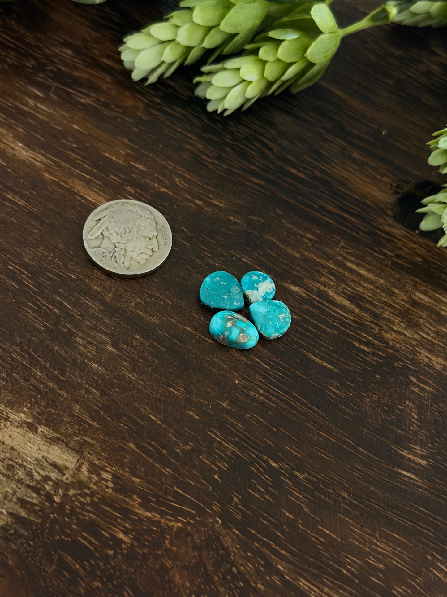 White Water Turquoise Cabs