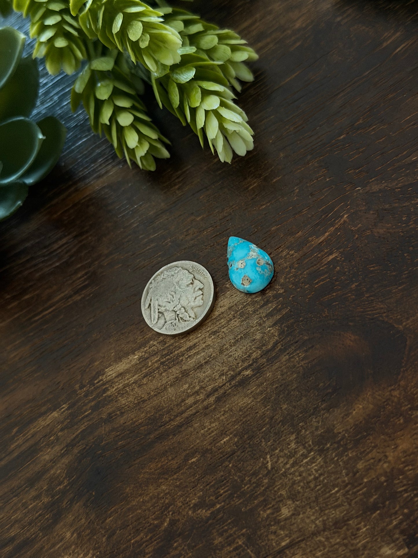 Blue Bird Turquoise Cab
