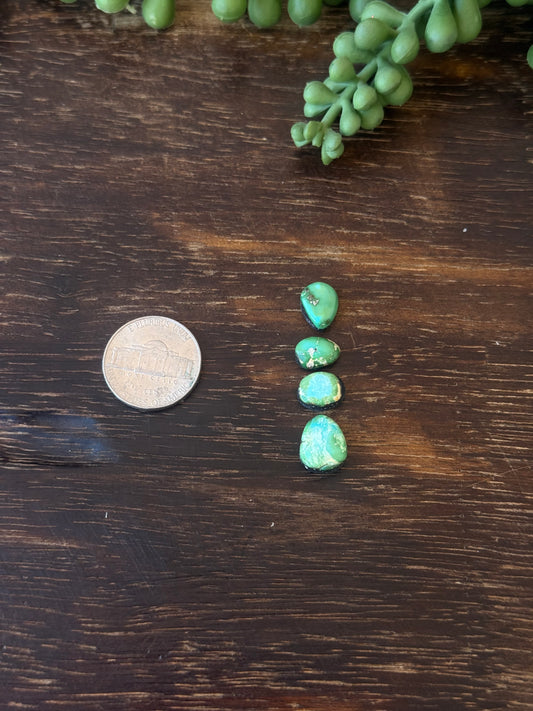 Sonoran Mountain Turquoise Cabs