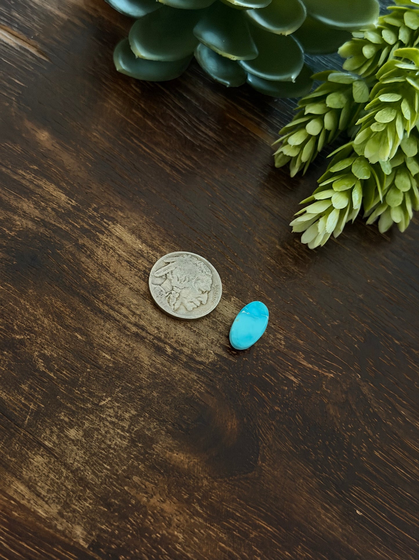 Blue Bird Turquoise Cab