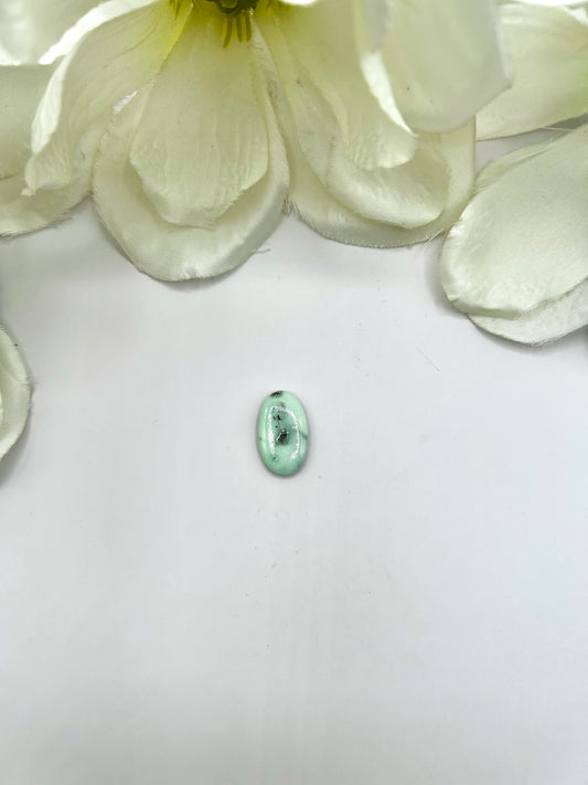 Paloma Variscite Cabs