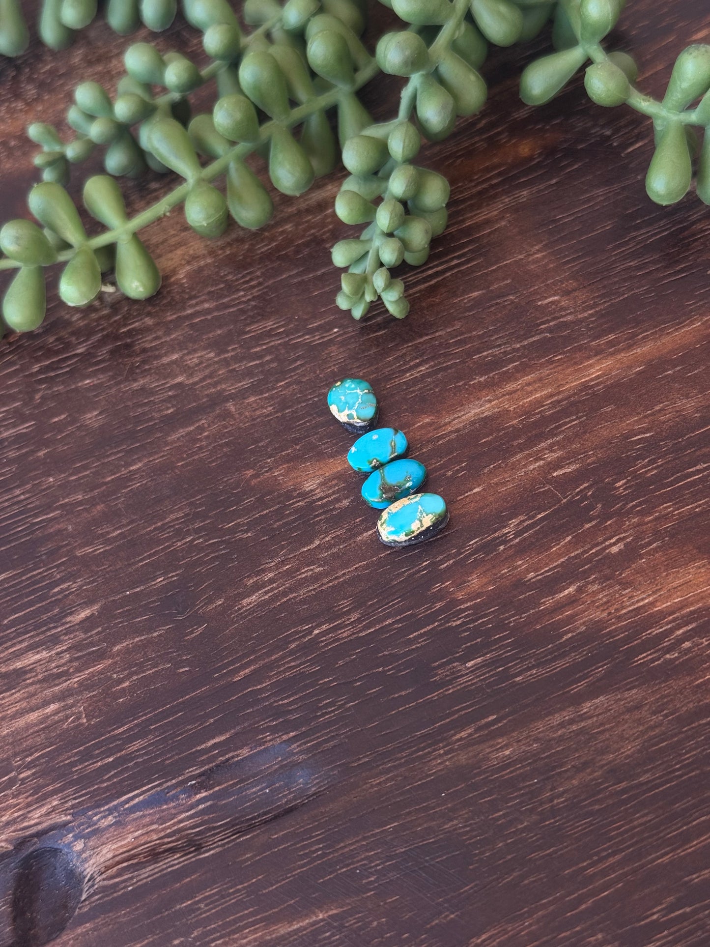 Sonoran Mountain Turquoise Cabs