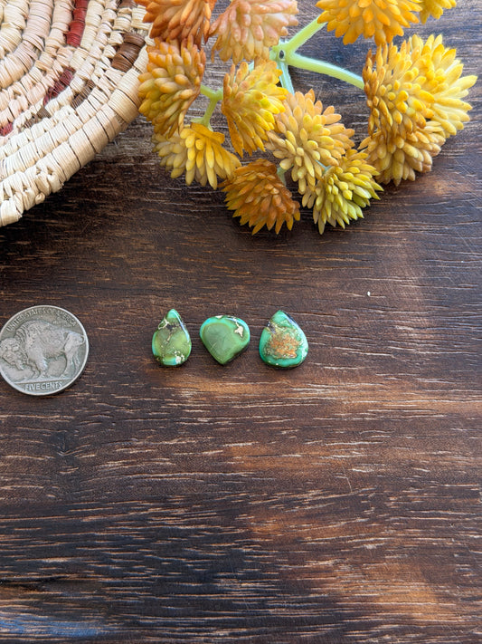Sonoran Mountain Turquoise Cabs