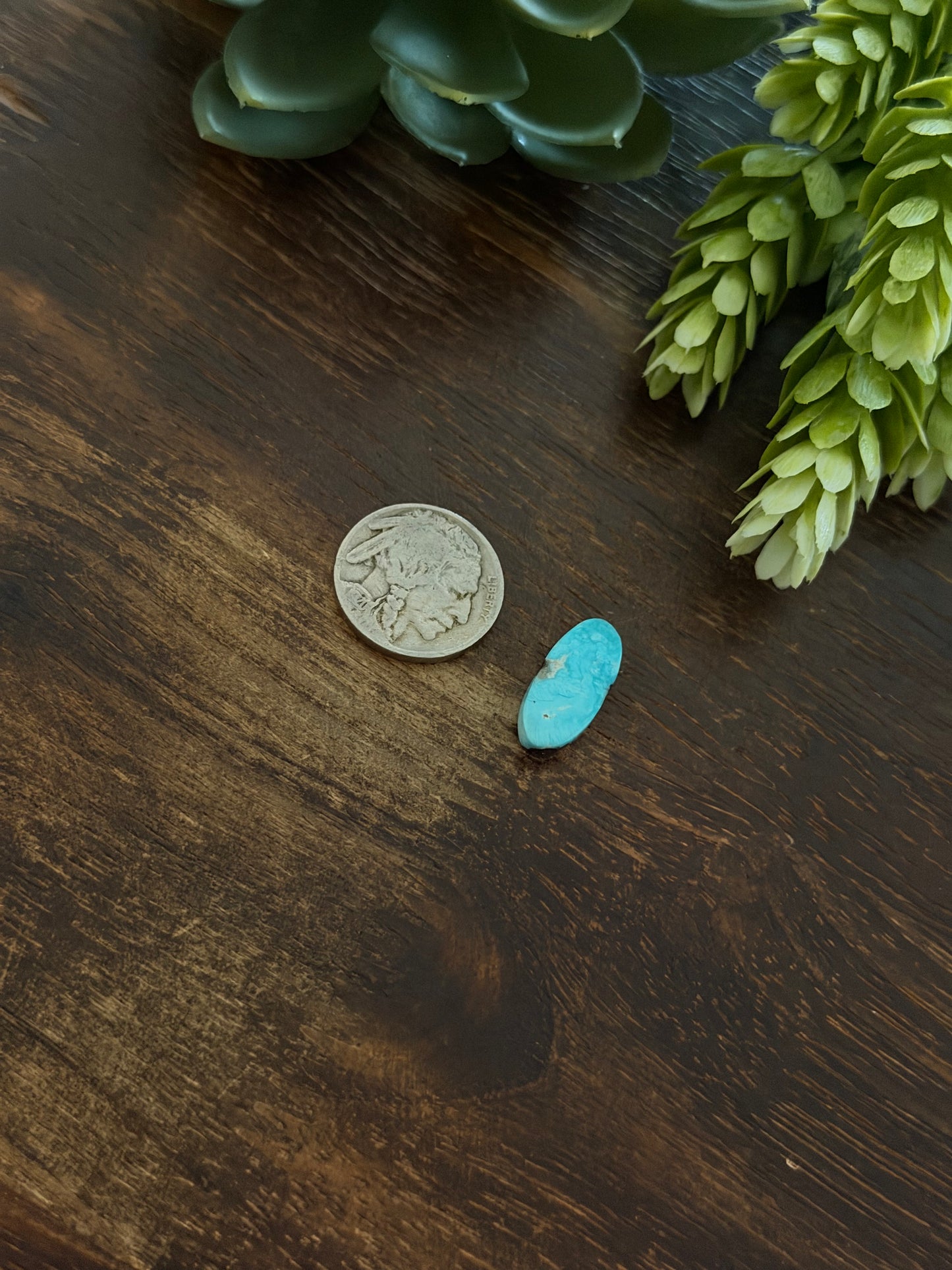 Blue Bird Turquoise Cab