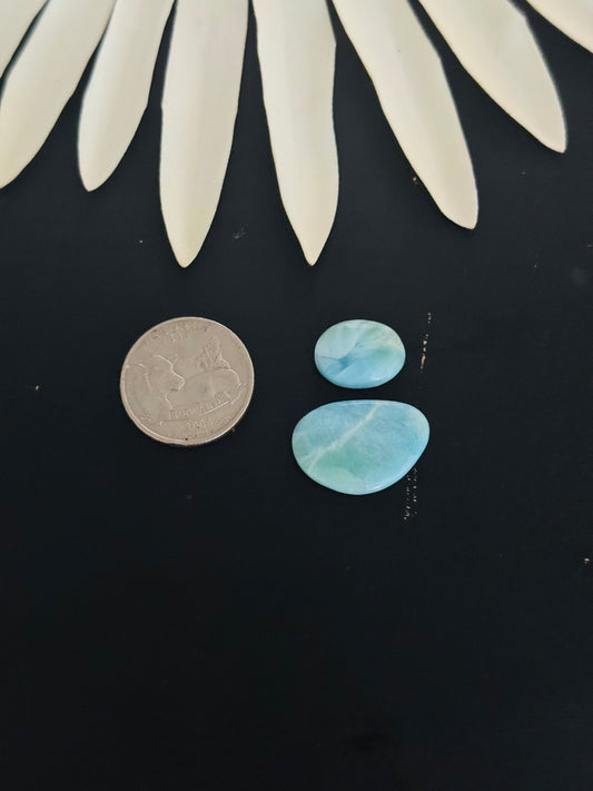 Larimar Cabs