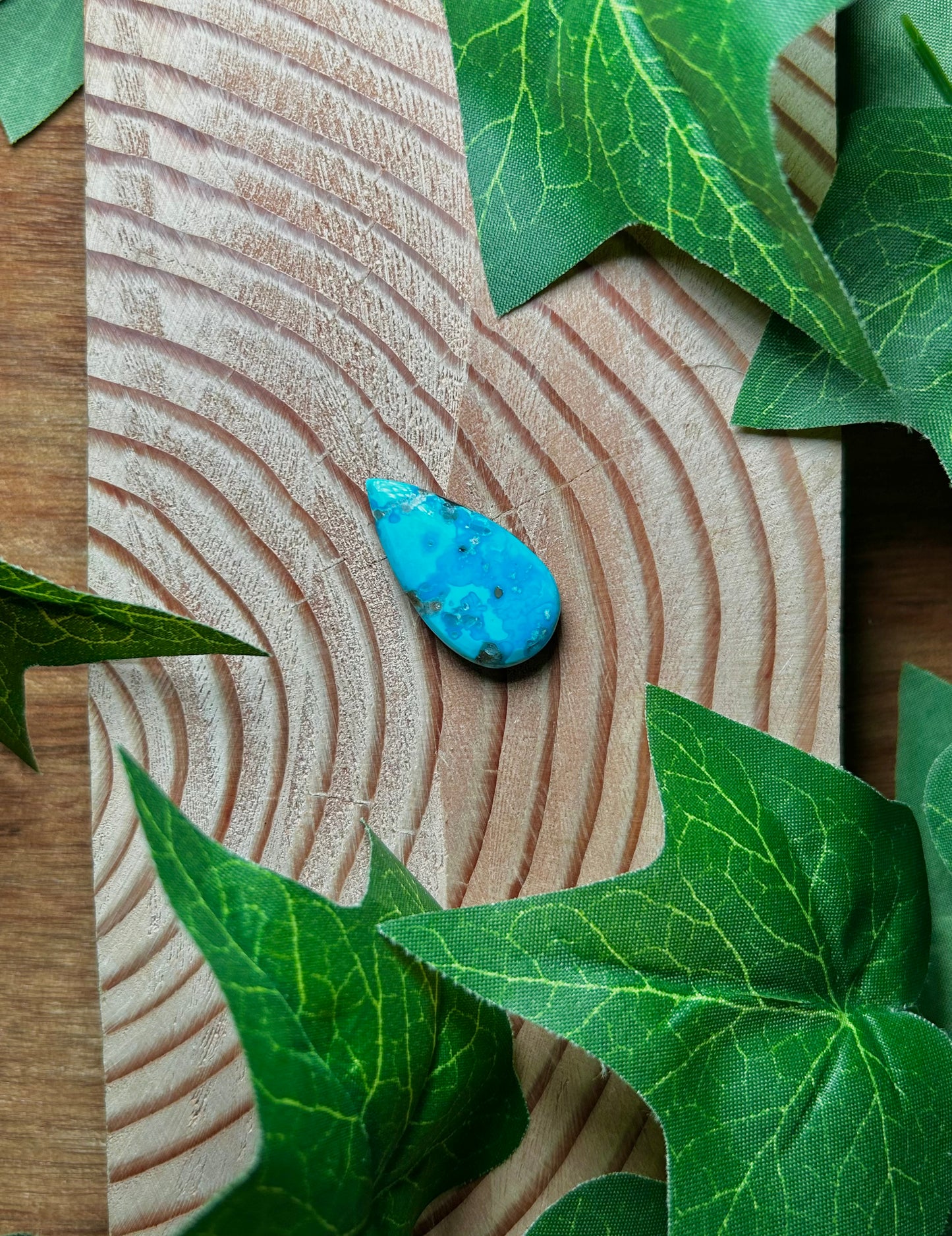 Blue Bird Turquoise Cabs