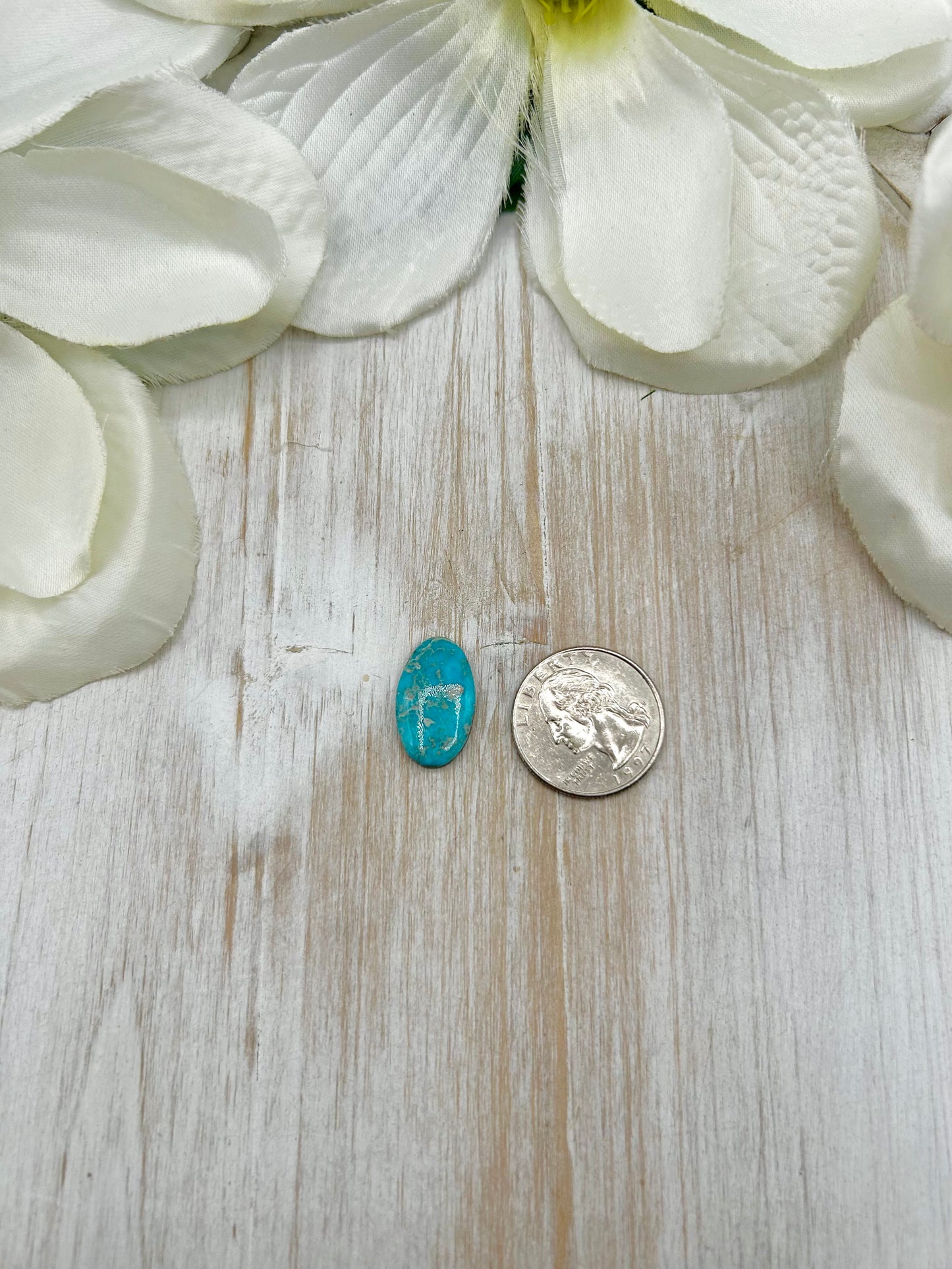 Blue Ridge Turquoise Cab