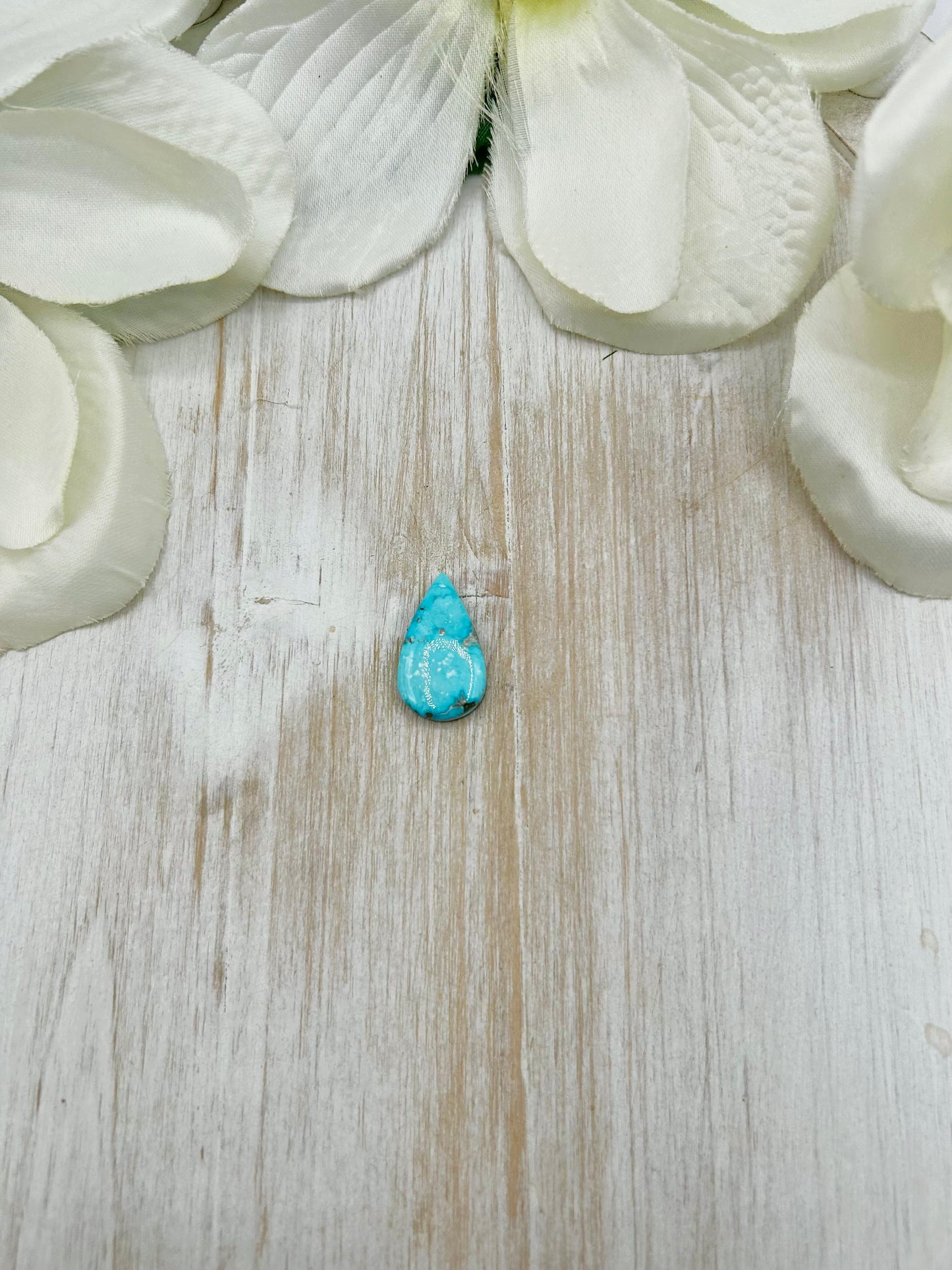 Blue Ridge Turquoise Cab