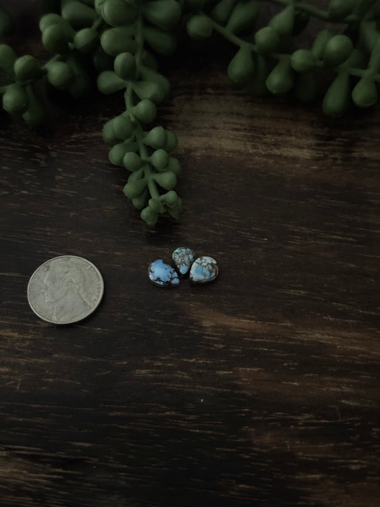 Golden Hills Turquoise Cabs