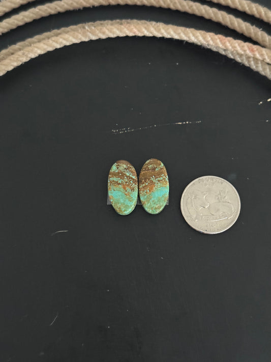 #8 Turquoise Earring Pair Cabs