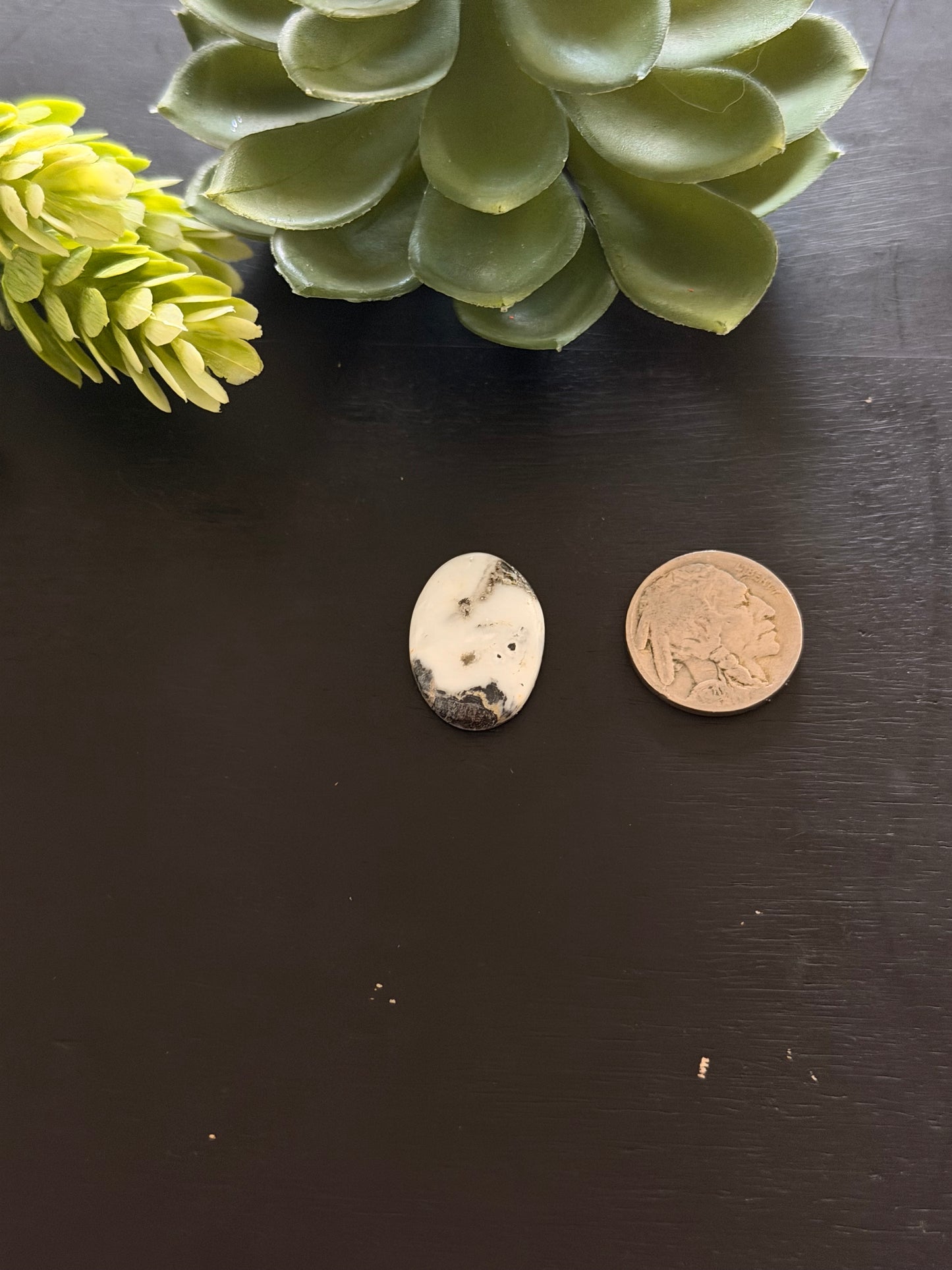 White Buffalo Cab