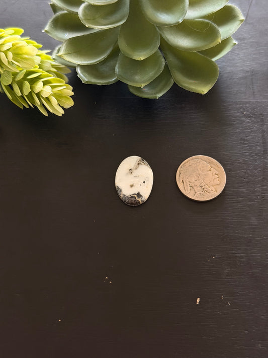 White Buffalo Cab