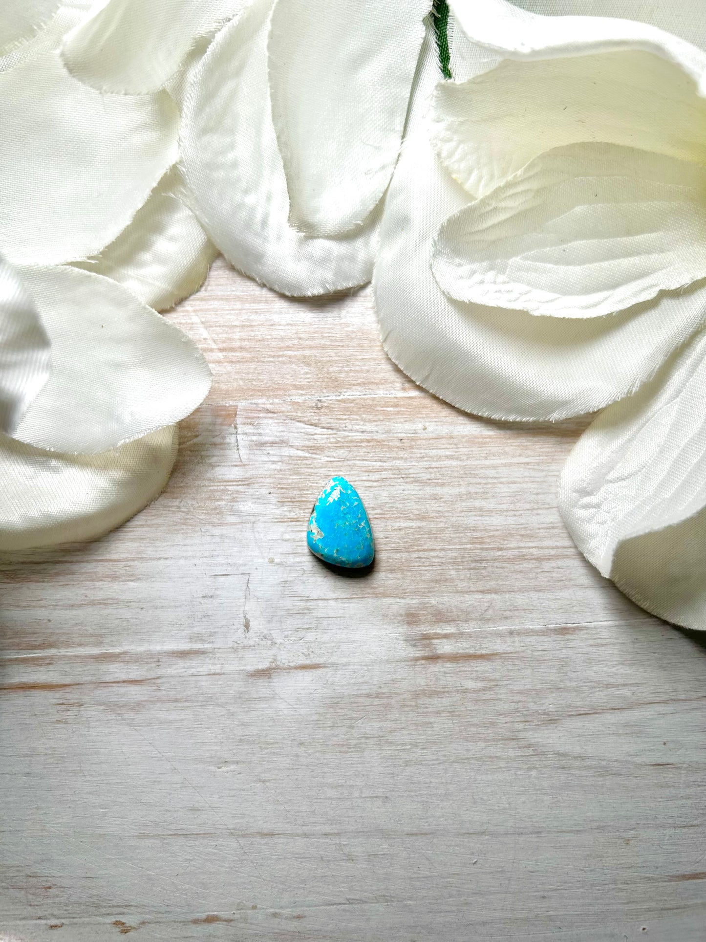 Blue Ridge Turquoise Cab