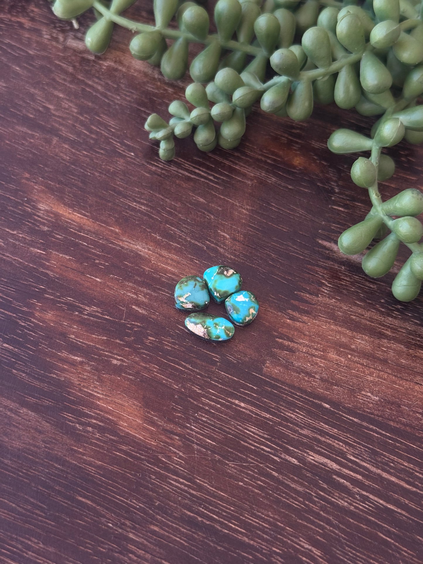 Sonoran Mountain Turquoise Cabs