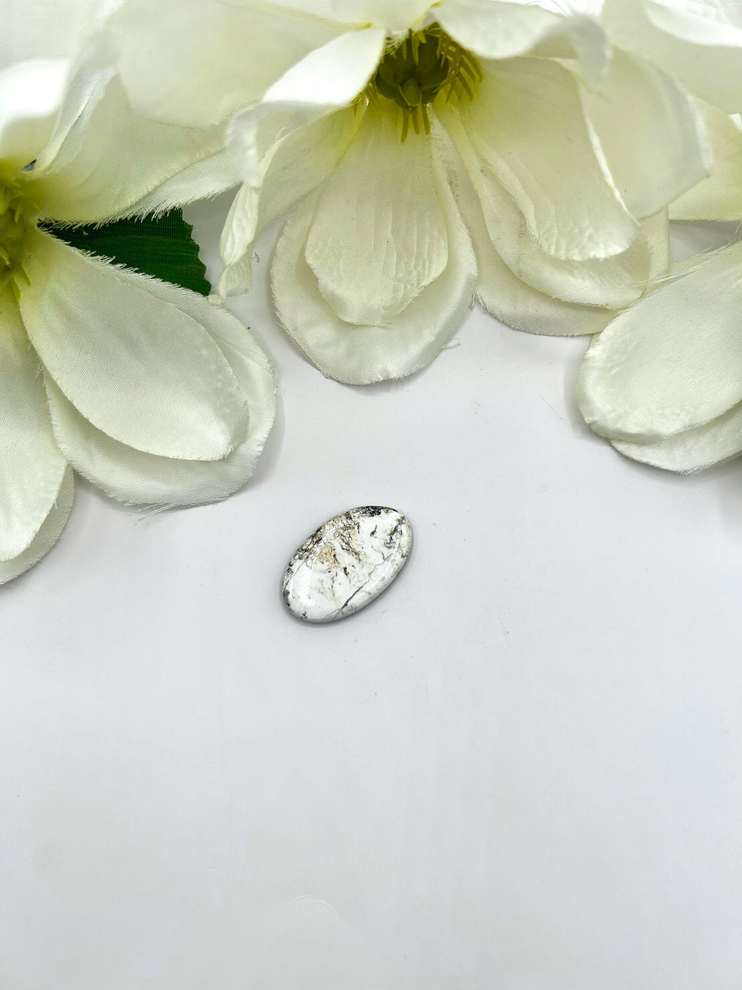 White Buffalo Cabs