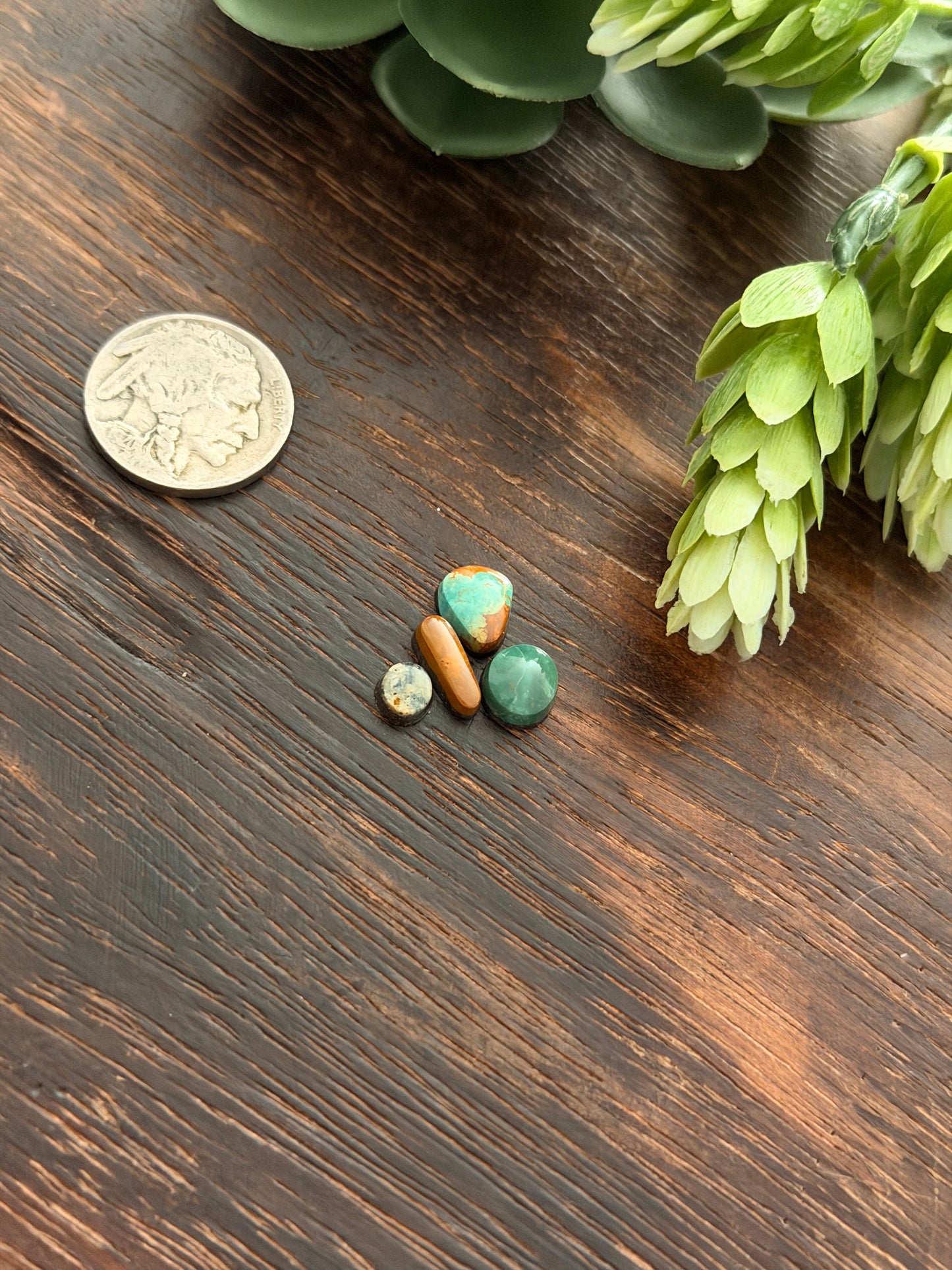 Evans Turquoise Cabs