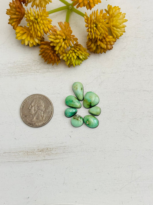 Natural Sonoran Gold Turquoise Cabs