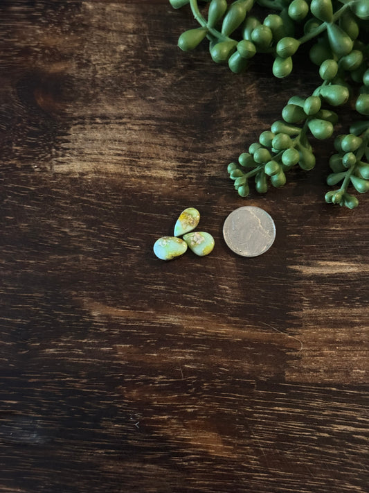 Palomino Variscite Cabs