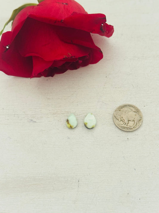 Palomino Variscite Cabs