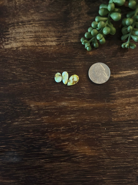 Palomino Variscite Cabs