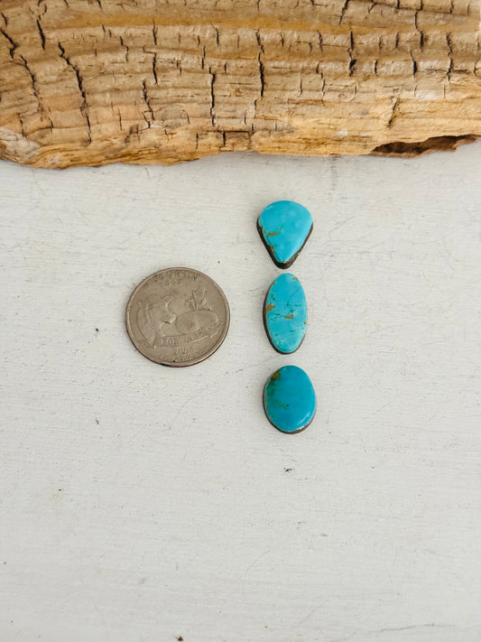 Natural Kings Manassa Turquoise Cabs