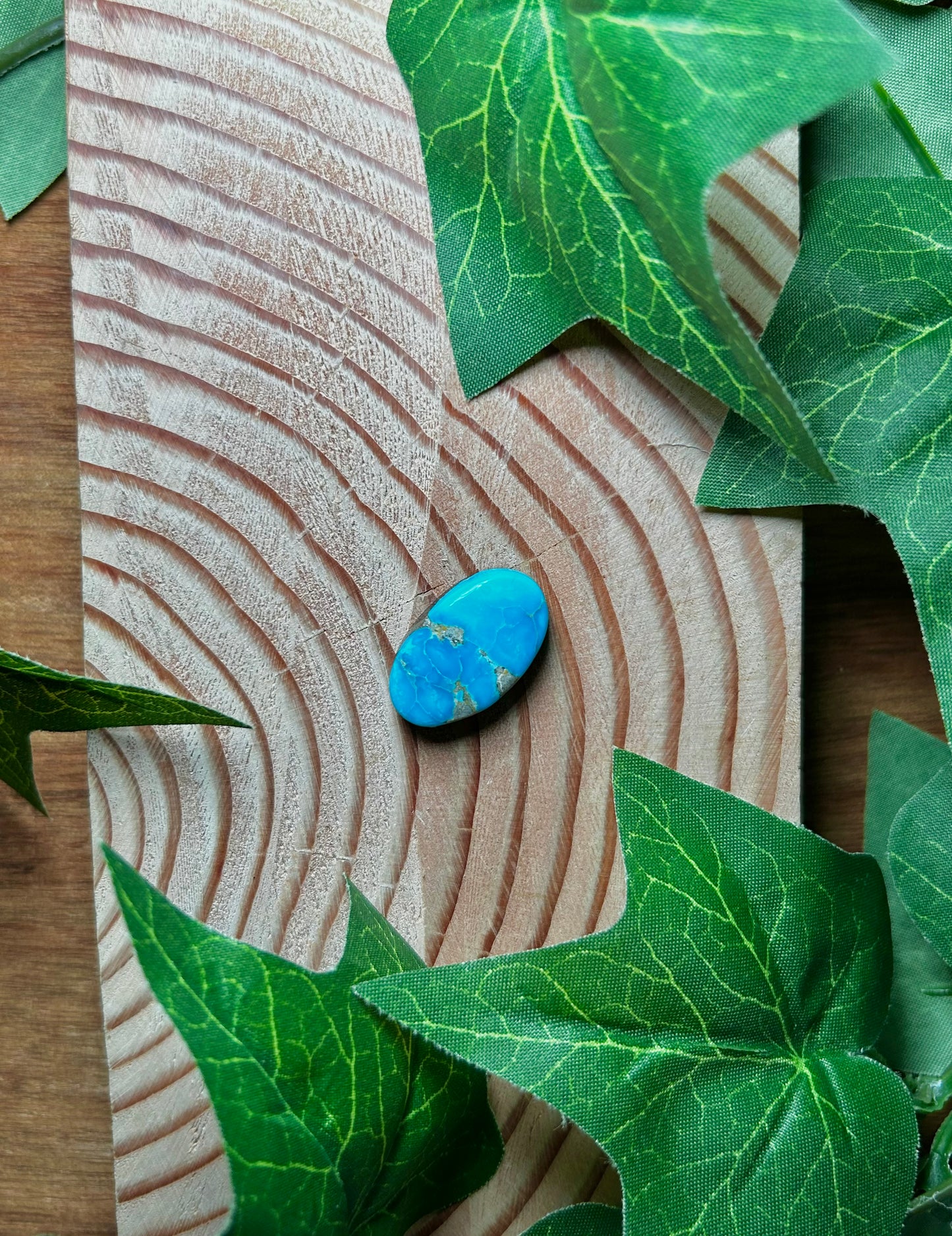 Blue Bird Turquoise Cabs