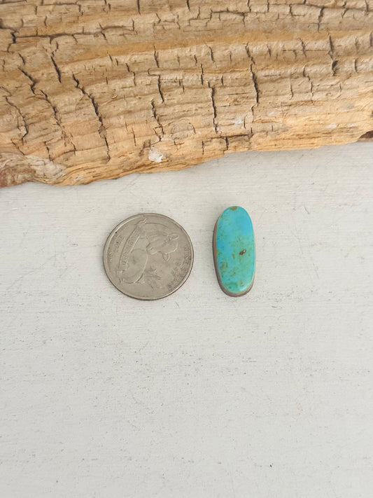 Natural Kings Manassa Turquoise Cab
